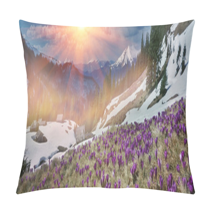 Personality  Spring Crocuses In Carpathians Mountains Pillow Covers