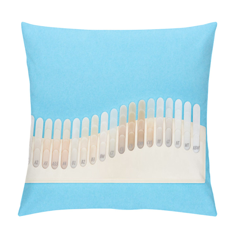 Personality  Top View Of Teeth Samples With Different Shades Isolated On Blue  Pillow Covers