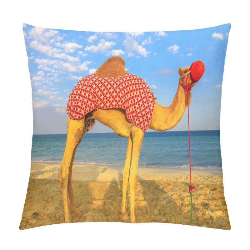 Personality  Camel Relaxing On Beach Pillow Covers