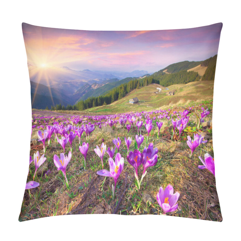 Personality  Crocuses At Spring In The Mountains Pillow Covers