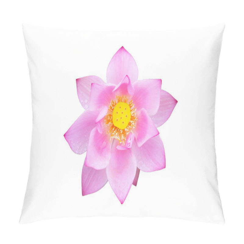 Personality  Beautiful Blooming Pink Lotus Flower On White Background. Pillow Covers