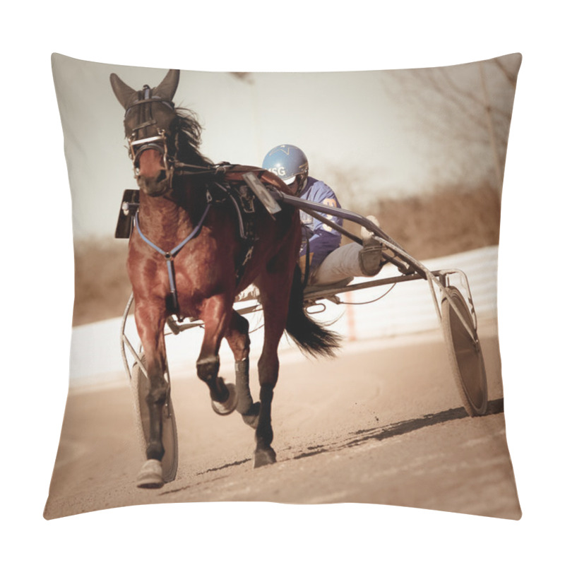 Personality  Harness Racing Pillow Covers