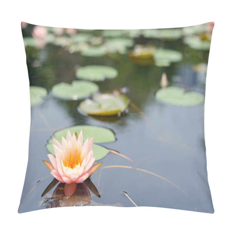 Personality  Beautiful Pink Waterlily Flower Pillow Covers