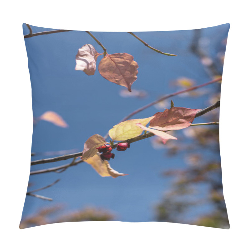 Personality  Close Up View Of Yellow Leaves And Berries On Branches With Blue Sky At Background Pillow Covers