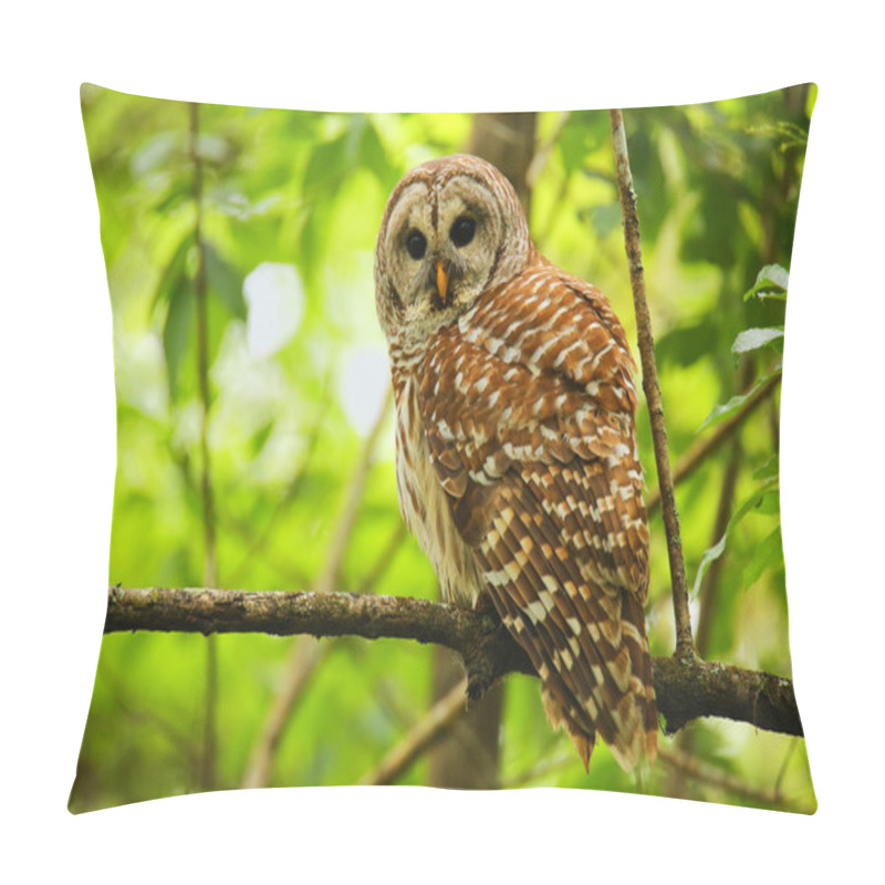 Personality  Barred Owl (Strix Varia) Sitting On A Tree Pillow Covers