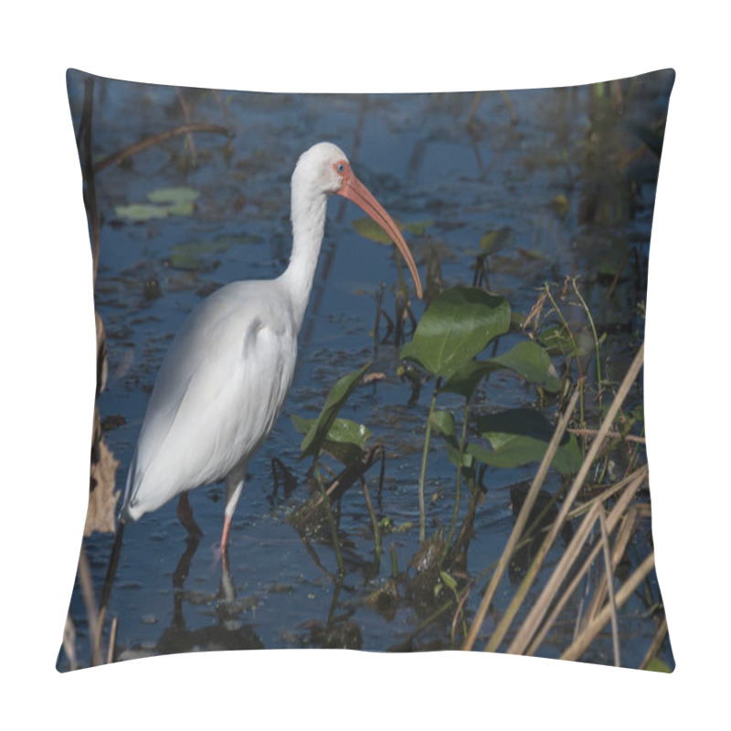 Personality  Adult White Ibis Foraging For Food In A Texas Marshland. Brazos Bend State Park. Pillow Covers