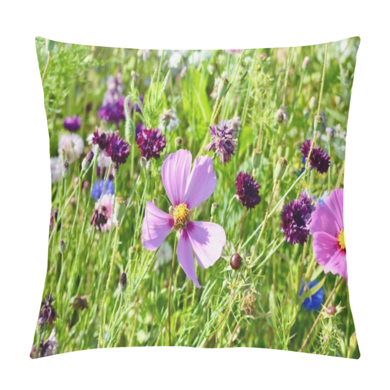 Personality  Nature Background, Wildflowers, Wildflower Meadow. Mix Of Multicoloured Wild Flowers Found In A Field In The British Countryside. Varieties Of Poppy, Cornflower, Meadowsweet, Cow Parsley And Marigold Pillow Covers