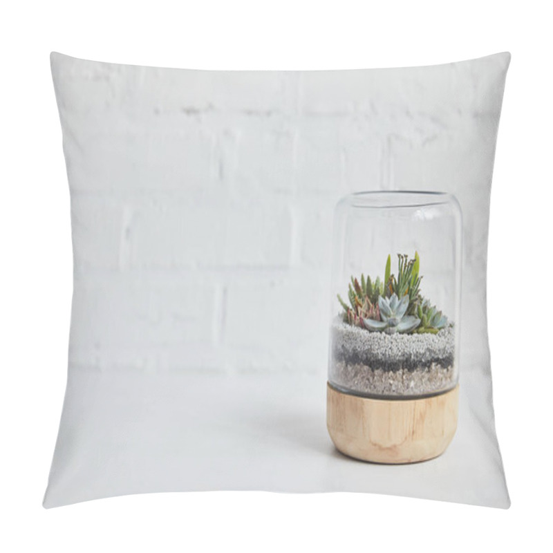 Personality  Green Succulent Under Glass In Wooden Flowerpot On Table Near White Brick Wall Pillow Covers