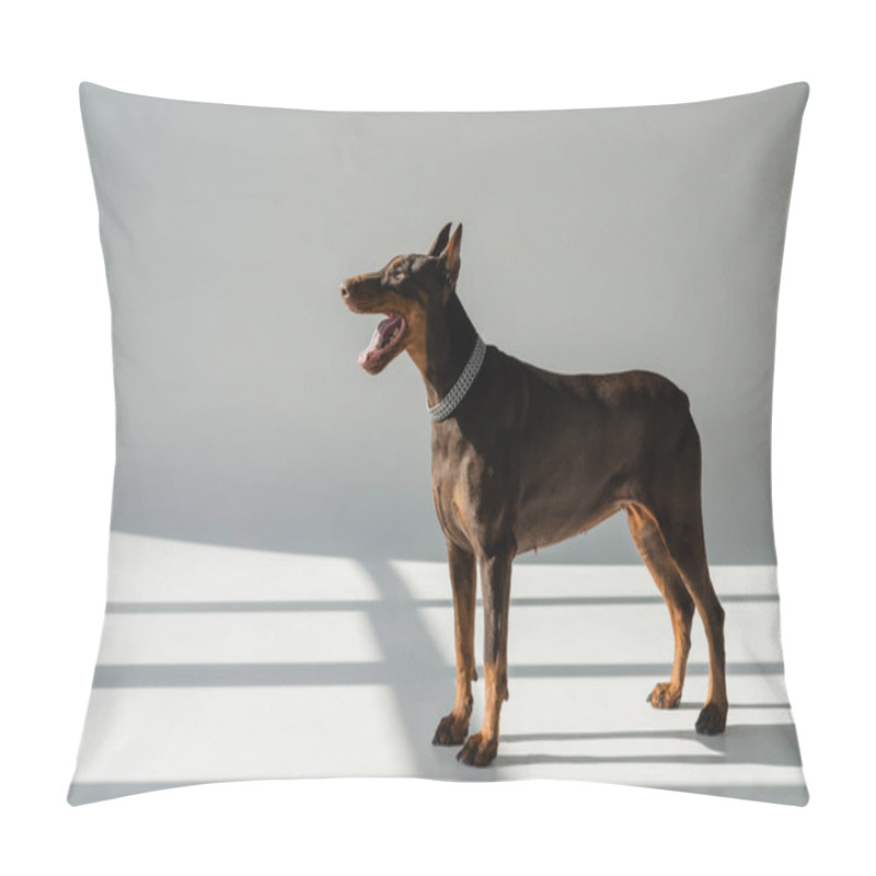 Personality  Doberman Dog Standing On Grey Background With Shadows  Pillow Covers