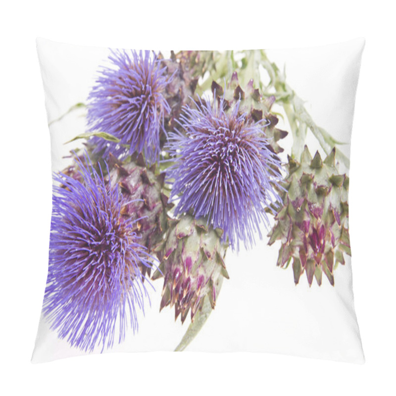 Personality  The Flower Of The Artichoke Pillow Covers