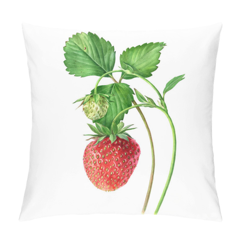 Personality  Strawberry, Botanical Illustration. Strawberries On A Bush Isolated On A White Background. Pillow Covers