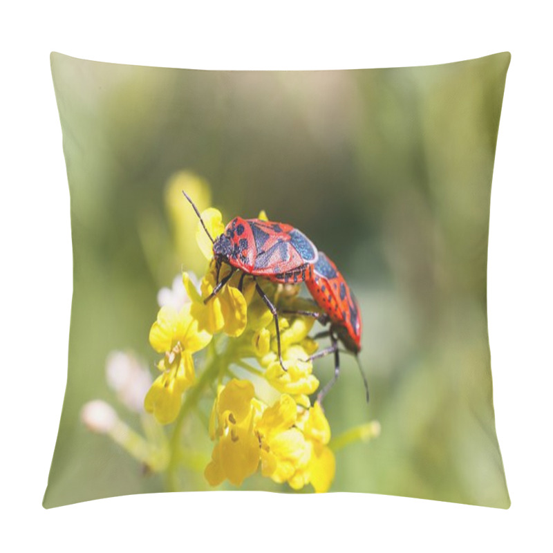 Personality  Firebugs At The Flowers - Reproduction Macro Pillow Covers