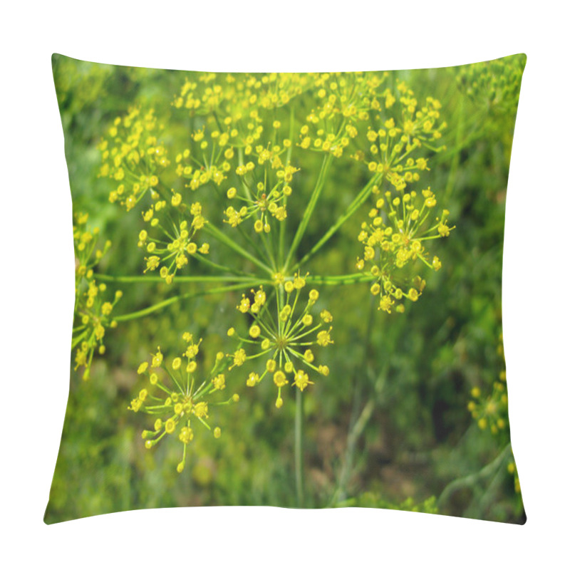 Personality  Dill On The Ground Pillow Covers