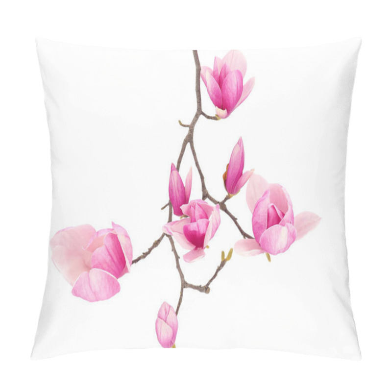 Personality  Blossoming Saucer Magnolia Tree Branch Isolated On White Background, Magnolia  Soulangeana Pillow Covers