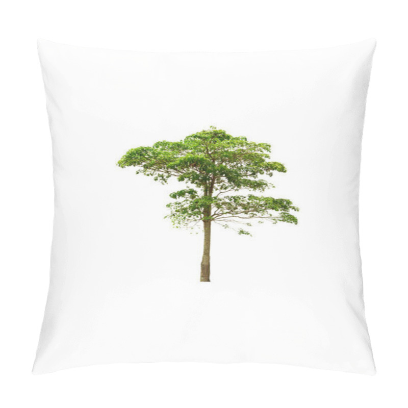 Personality  Big Tree Isolated On A White Background  Pillow Covers