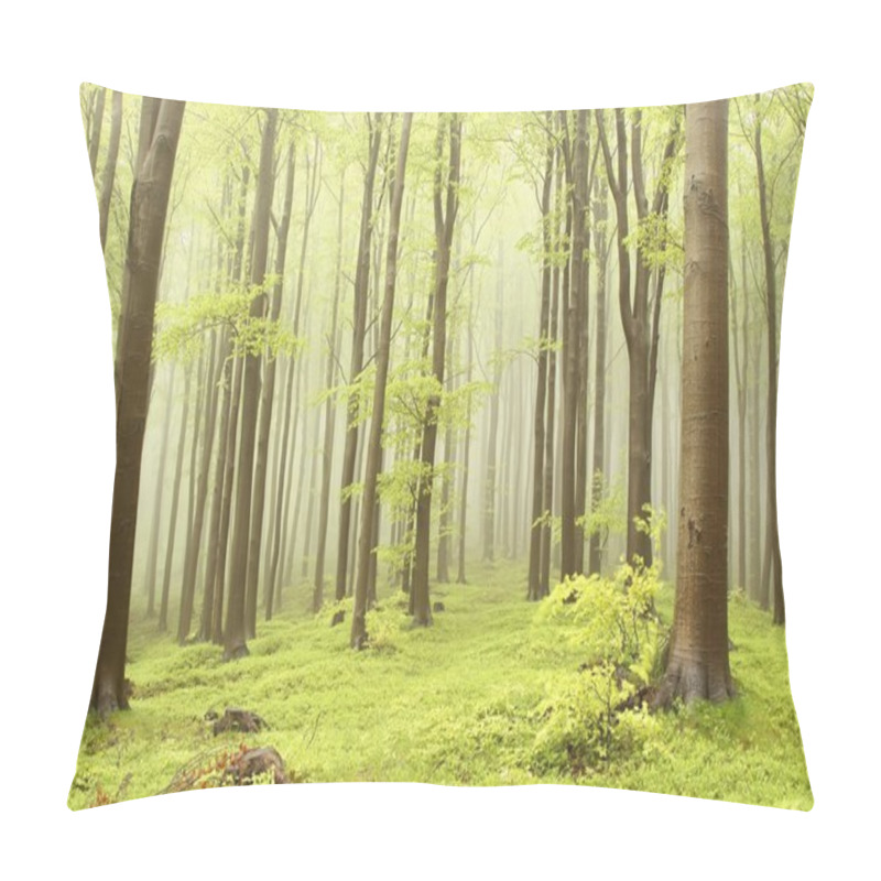 Personality  Misty Beech Forest Pillow Covers