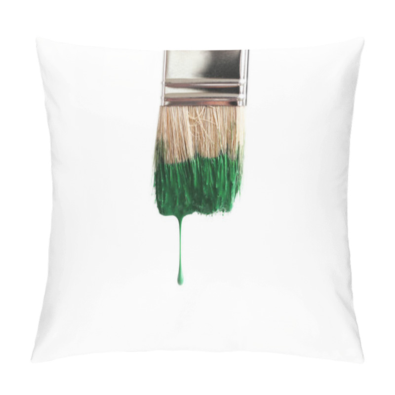 Personality  Renovation. Brush With Green Paint Pillow Covers