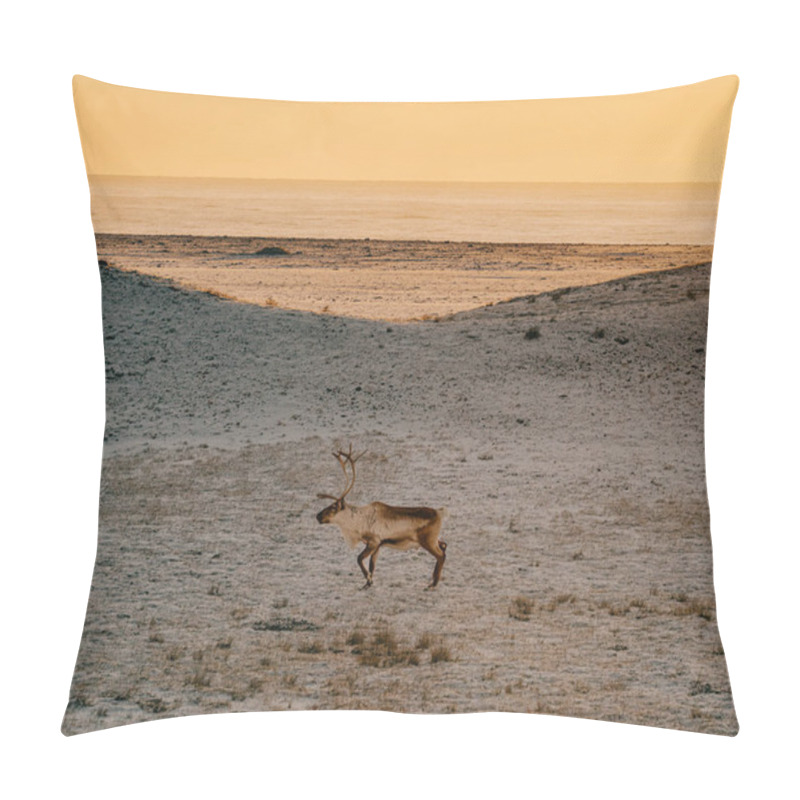 Personality  A Reindeer Running On A Frosty Tundra At Sunrise In East Iceland. Pillow Covers