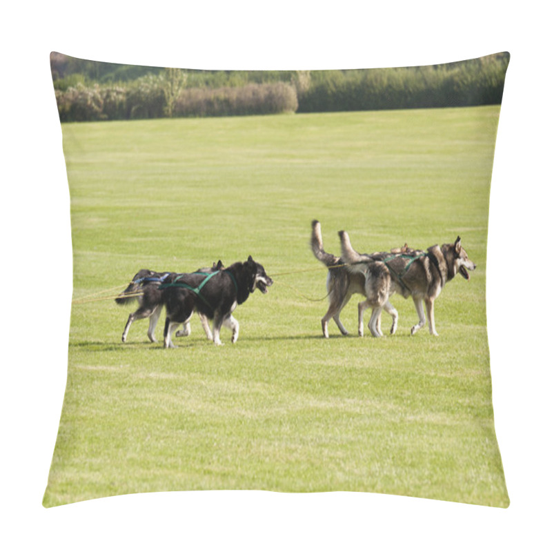 Personality  Sledge Dogs Pillow Covers