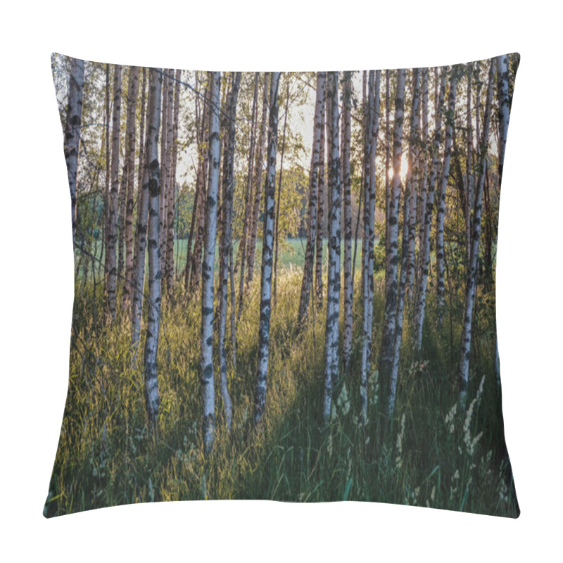 Personality  Birch Tree Leaves And Branches Against Dark Background With Sun Rays In Sunrise. Park Scene For Recreation And Peace Pillow Covers