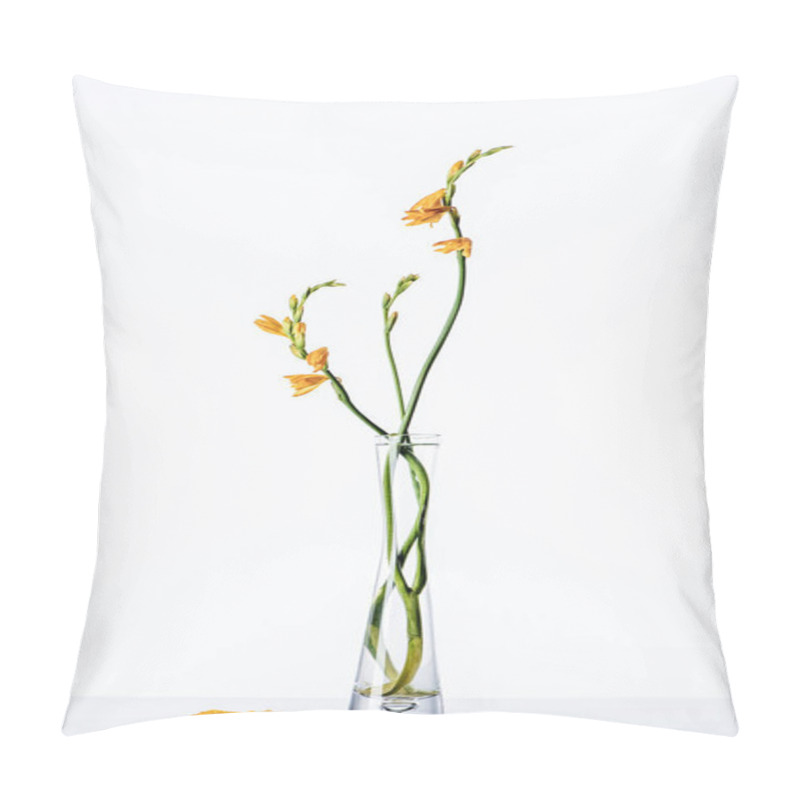 Personality  Beautiful Orange Lilies On Green Stems In Transparent Vase And Petals On White Surface  Pillow Covers