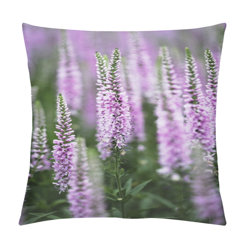 Personality  Flower Close Up At  Paju Theme Park Pillow Covers