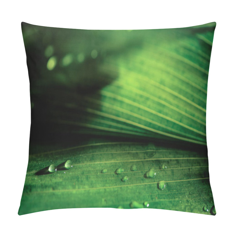 Personality  Close-up View Of Green Natural Background With Dew Drops Pillow Covers