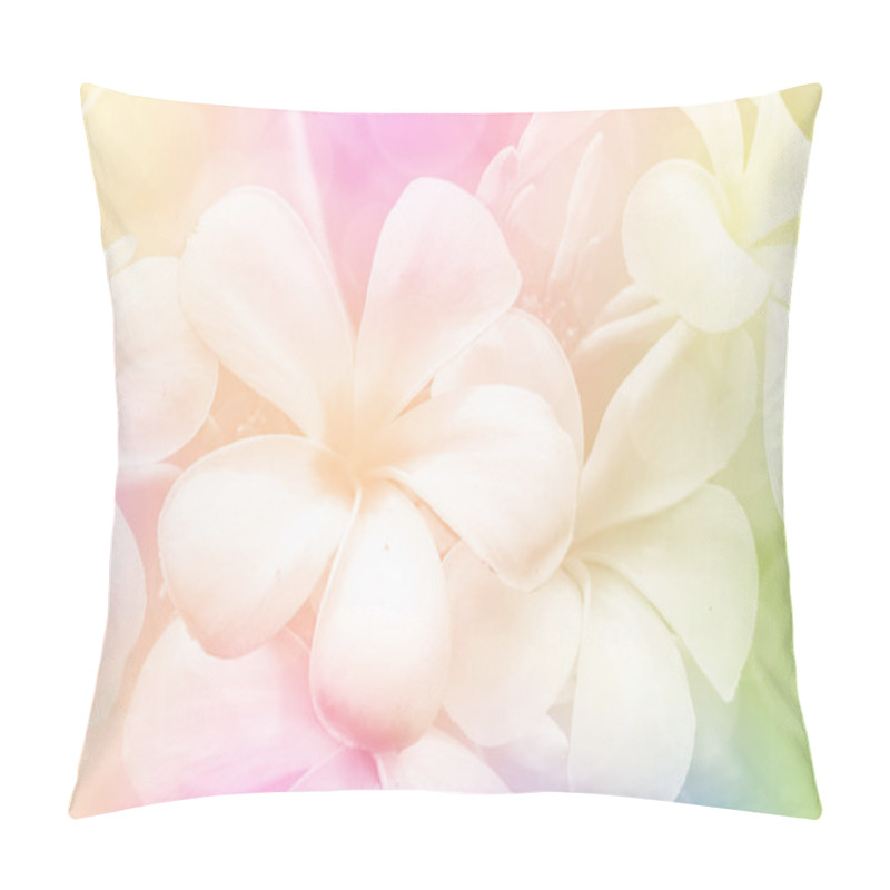 Personality  Closed-up Of Plumeria Spp. Pillow Covers