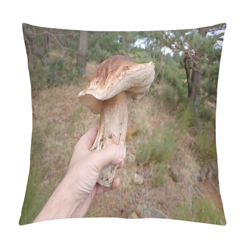 Personality  A Man Holding A Wild Edible Boletus Edulis Mushroom In The Forest Pillow Covers