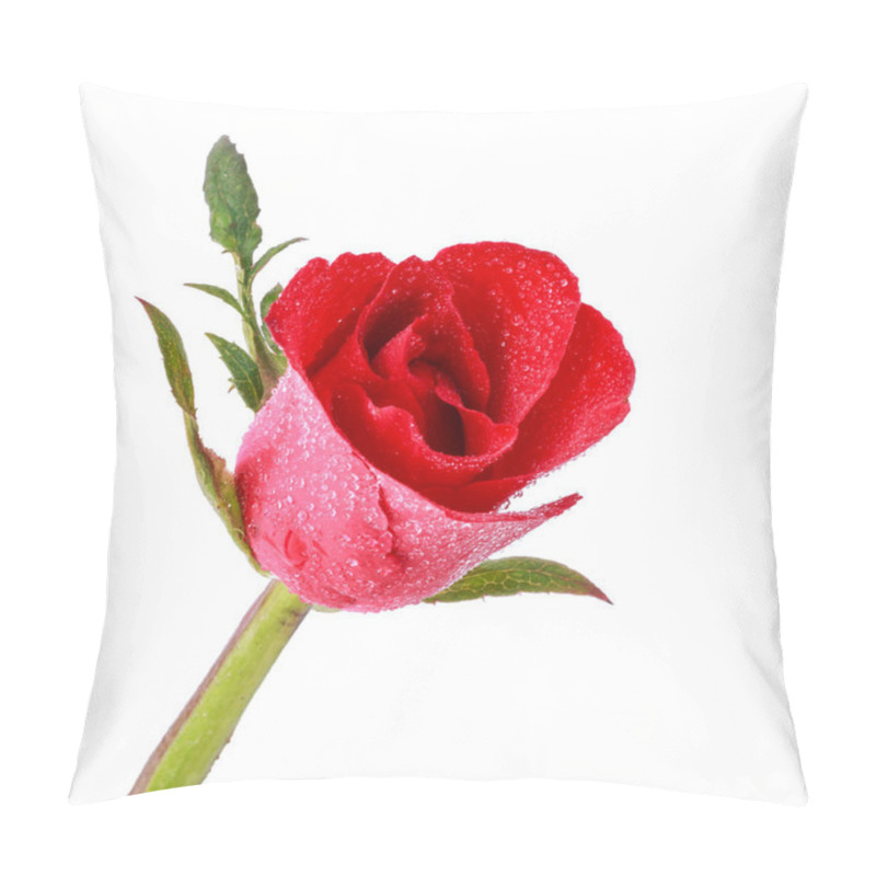 Personality  Red Roses With Water Drop Pillow Covers