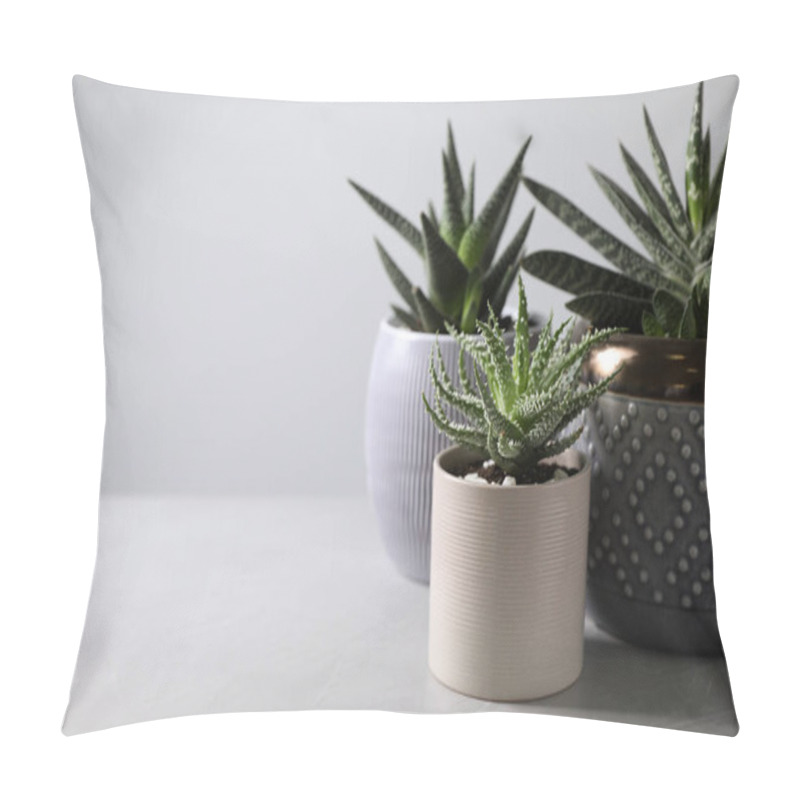 Personality  Beautiful Potted Houseplants On Light Background. Space For Text Pillow Covers