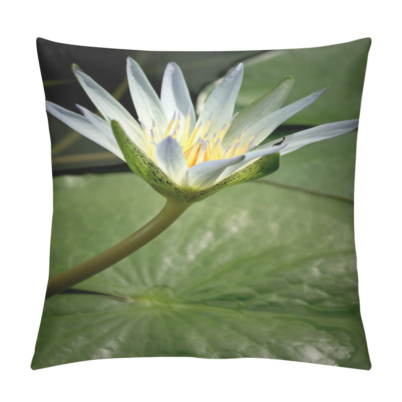 Personality  Amazon Waterlily Pillow Covers