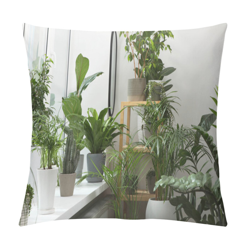 Personality  Many Beautiful Potted Houseplants Near Window Indoors Pillow Covers