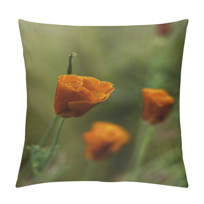 Personality  Bright Orange California Poppy In A Dreamy Meadow Setting With Soft Green And Yellow Tones Pillow Covers