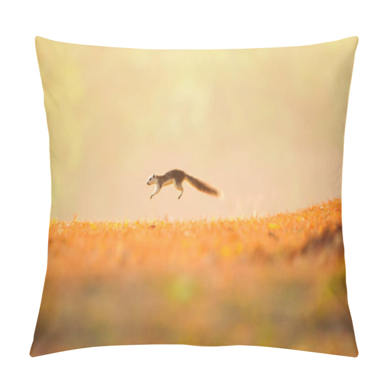 Personality  First Step Of A Little Variable Squirrel On The Golden Grassland Pillow Covers