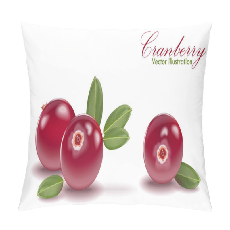 Personality  Red Tasty Cranberry Set With Leaf On Isolated White Background.  Pillow Covers