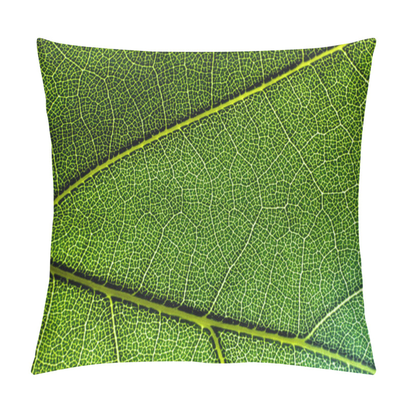 Personality  Vascular Tissue In A Leaf Pillow Covers