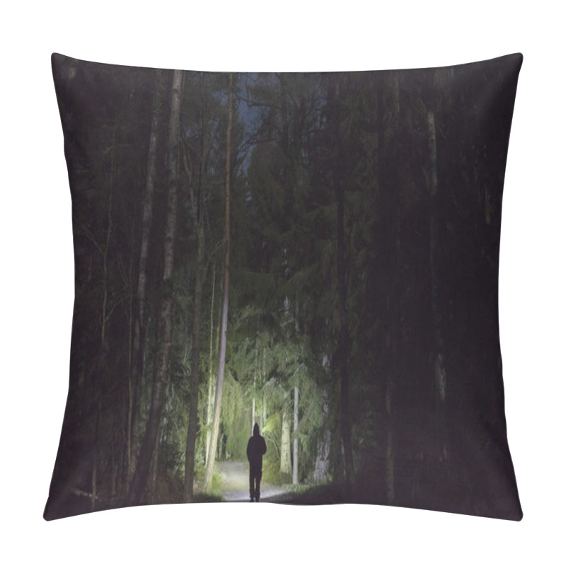 Personality  Man Standing Outdoors At Night In Tree Alley Shining With Flashlight. Beautiful Dark Snowy Winter Night. Pillow Covers