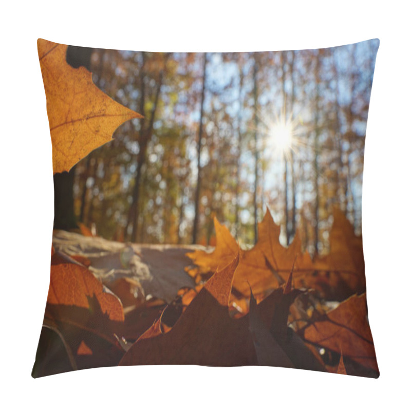 Personality  Detail Of A Golden Maple Leaf On The Forest Floor, Beautiful Sun Star Shines Through The Trees. Up View. Pillow Covers