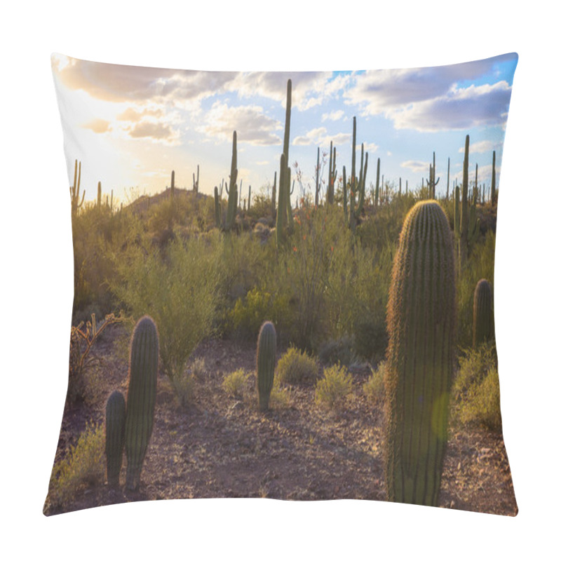 Personality  Saguaro National Park Pillow Covers