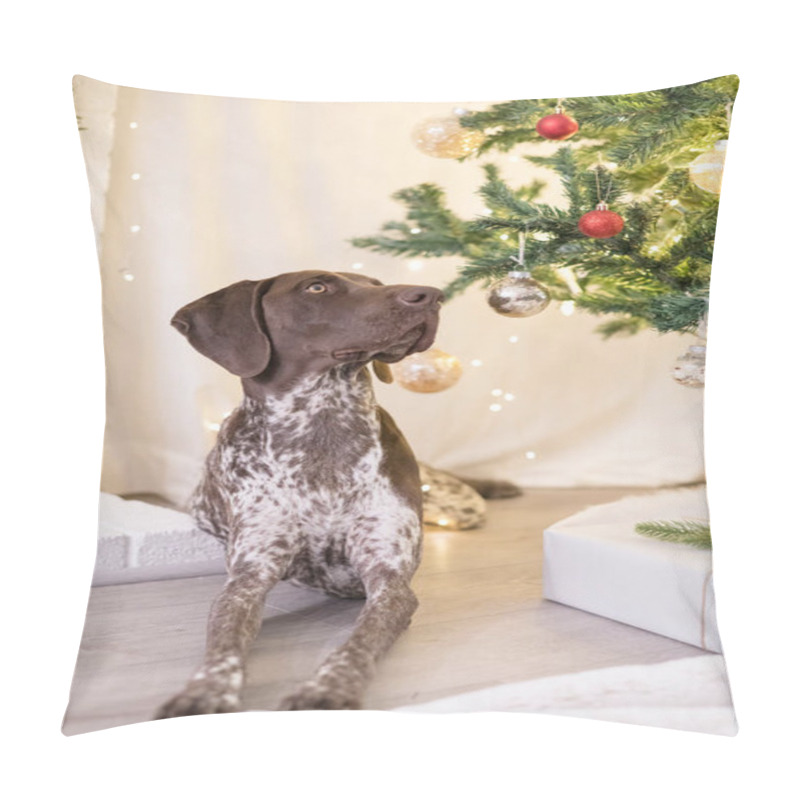 Personality  GSP Dog Laying Under The Christmas Tree Pillow Covers