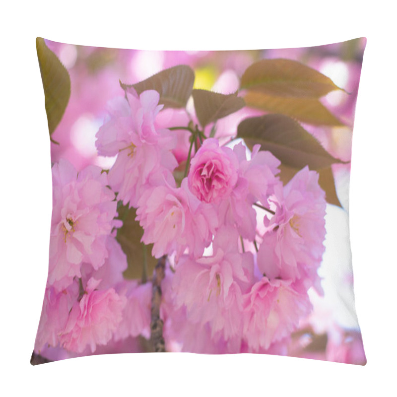 Personality  Branches Of Spring Pink Sakura Pillow Covers