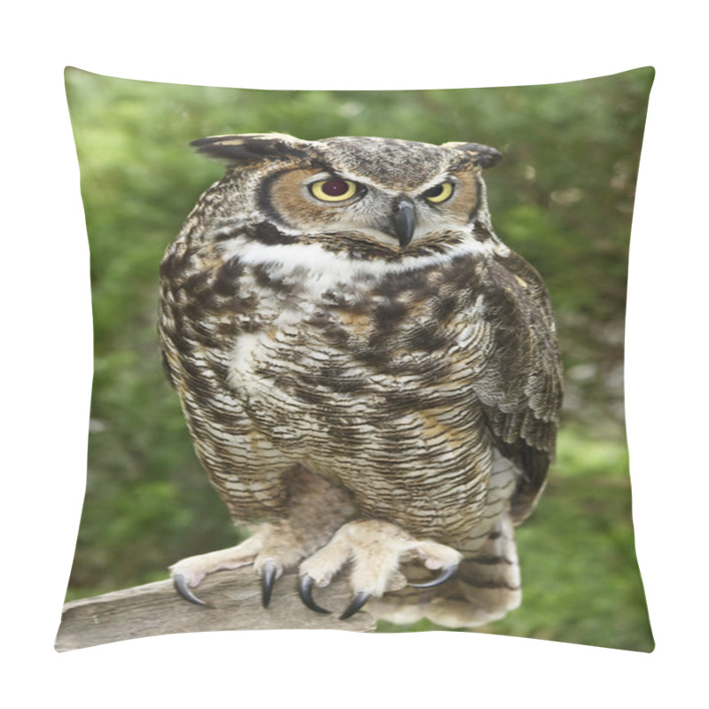 Personality  Great Horned Owl Full View Pillow Covers