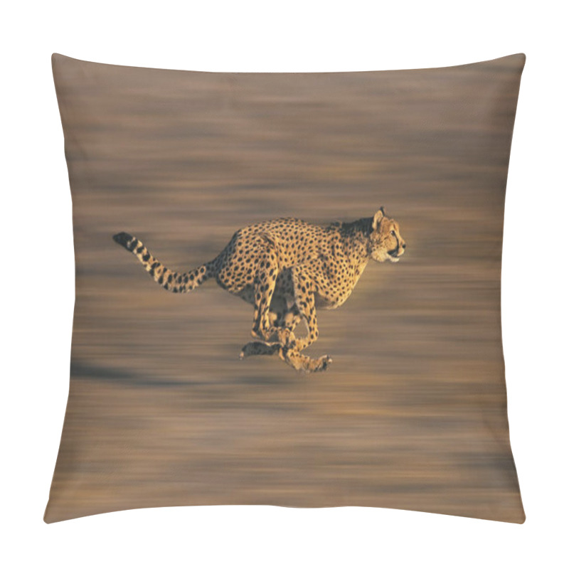 Personality  CHEETAH Acinonyx Jubatus, Adult Running Through Savannah   Pillow Covers