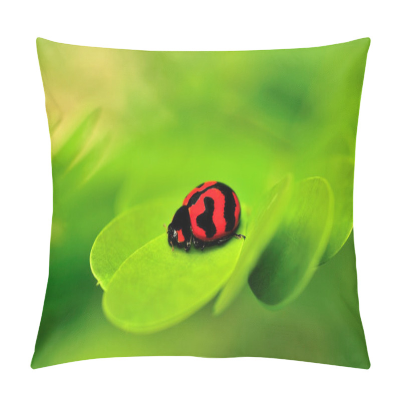 Personality  Lady Bug Pillow Covers