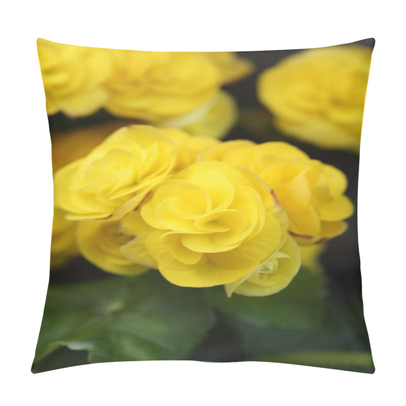 Personality  Begonia Flower Pillow Covers