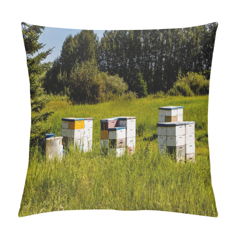 Personality  Bee Hives In A Field. Red Deer County, Alberta, Canada Pillow Covers