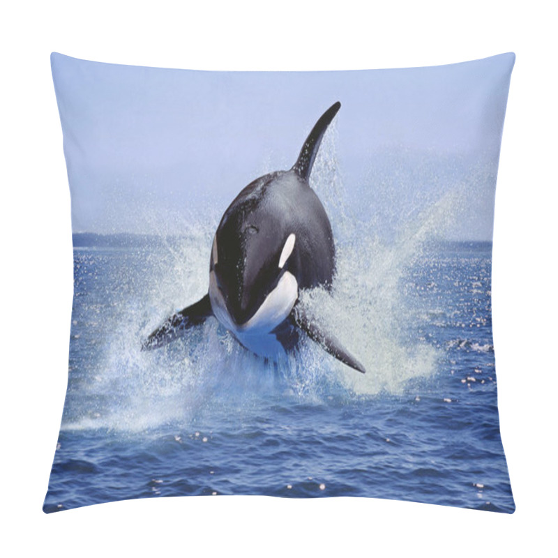 Personality  Killer Whale, Orcinus Orca, Adult Leaping, Canada   Pillow Covers