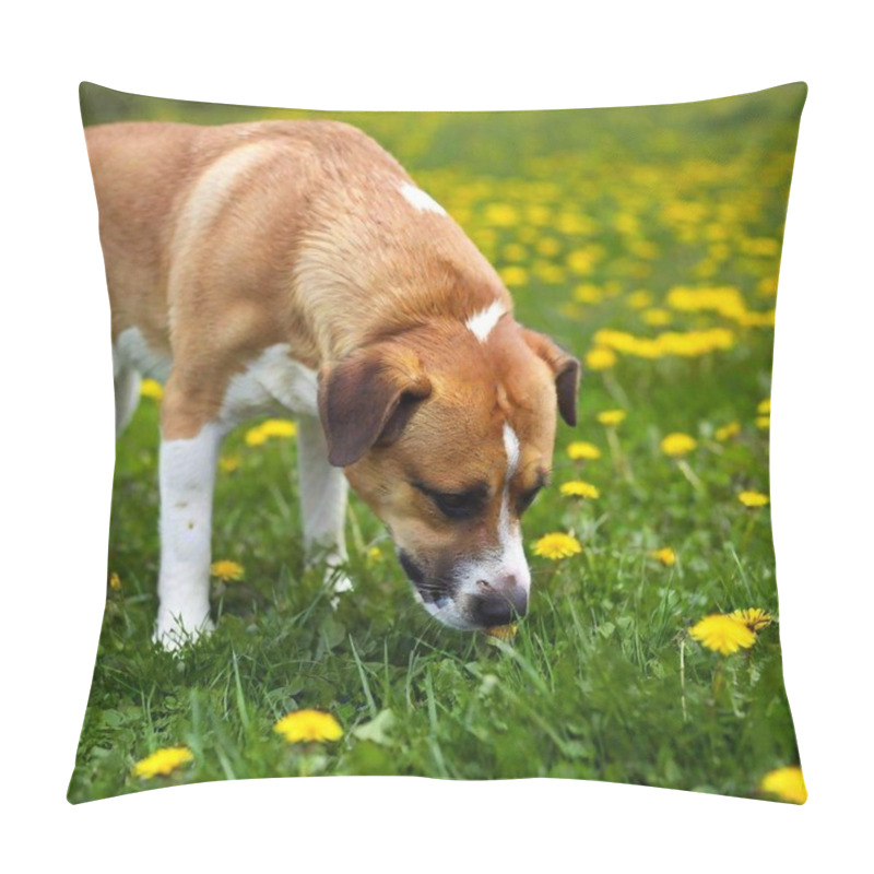 Personality  Dog In The Park Pillow Covers