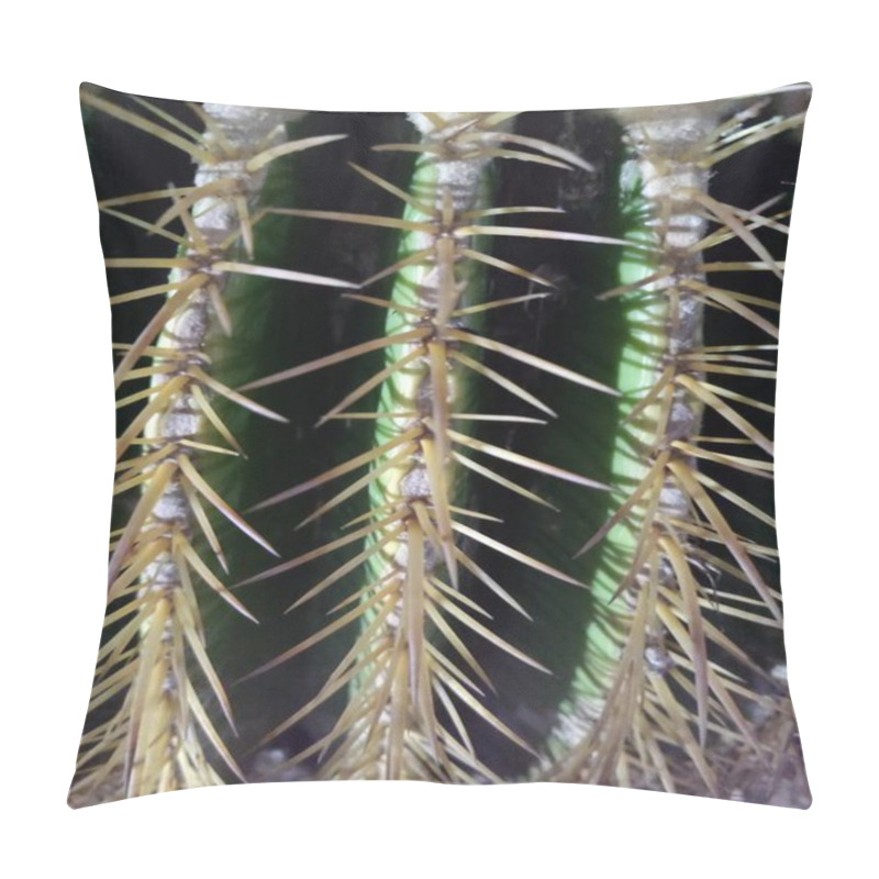 Personality  Close-up View Of A Cactus Showcasing Sharp Yellow Spines Against Its Deep Green Ridges. The Vibrant Contrast And Intricate Details Highlight The Rugged Beauty Of Desert Flora. Pillow Covers